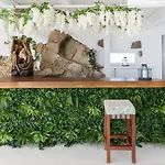 Zinas Villa Fanari (Mykonos)