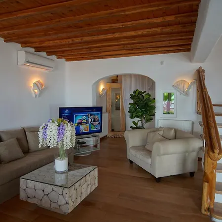 Zinas Villa Fanari (Mykonos)