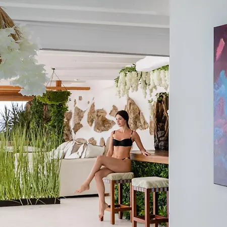 Zinas Villa Fanari (Mykonos)